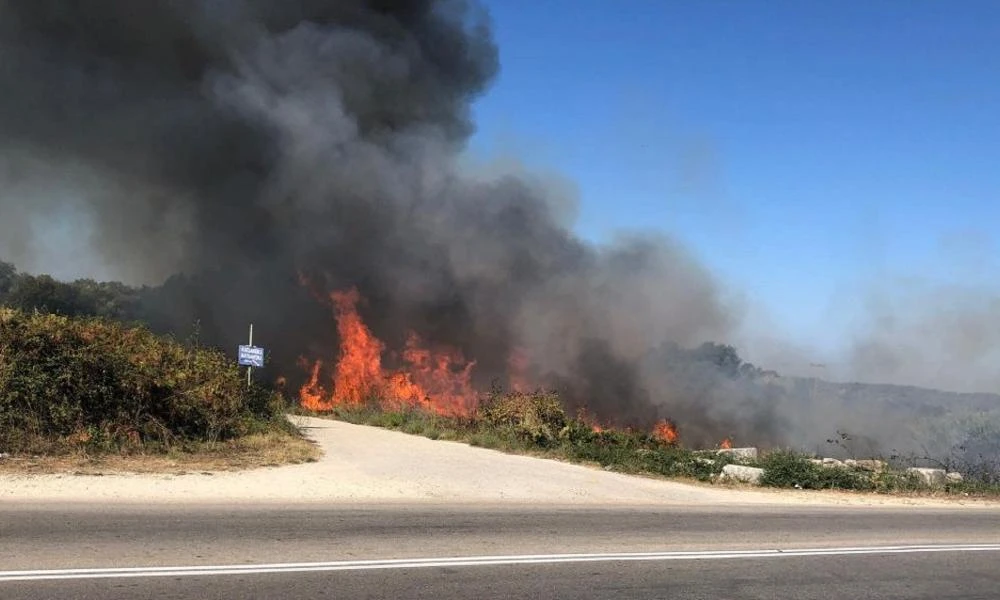 «Ήταν εμπρησμός», δηλώνουν κάτοικοι για τη φωτιά στην Πρέβεζα (Βίντεο)